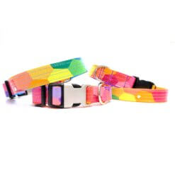prism collar