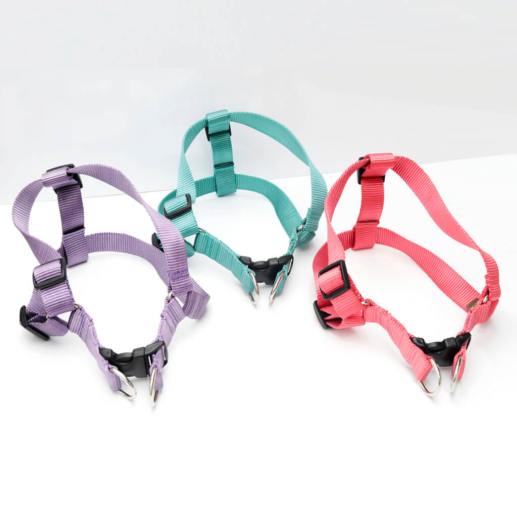 Nylon Webbing Dog Harnesses
