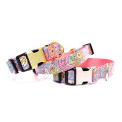 paisley dog collar no engraving stevie