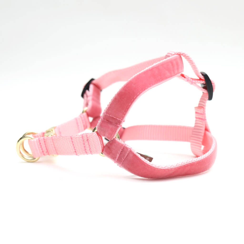 Velvet Dog Harnesses
