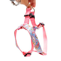 step in paisely dog harness stevie