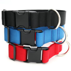 Wide Dog Collars