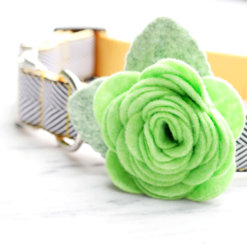 Chartreuse Dog Collar Rose Flower