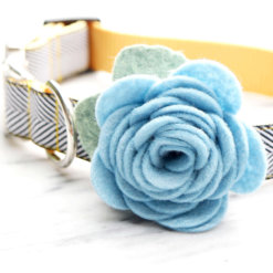 Columbia Blue Dog Collar Rose Flower