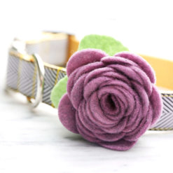 Hydrangea Dog Collar Rose Flower