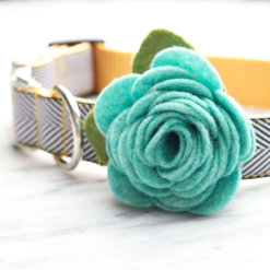 Leaping Lizard Dog Collar Rose Flower