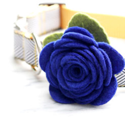 Moody Blues Dog Collar Rose Flower