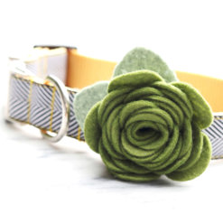 Moss Green Dog Collar Rose Flower