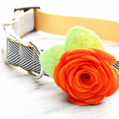 Hallow's Eve Dog Collar Rose Flower