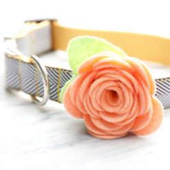 Georgia Peach Dog Collar Rose Flower