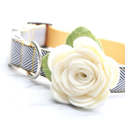 Angel Wings Dog Collar Rose Flower