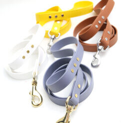 made in the USA biothane dog leash high desert