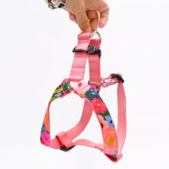 floral step in dog harness rifle paper juliet