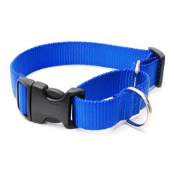 royal blue martingale