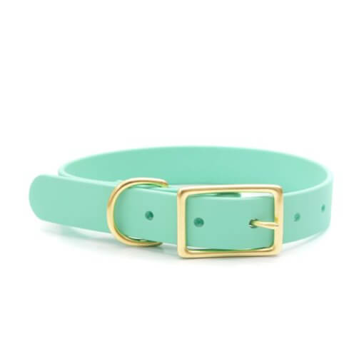 belt buckle