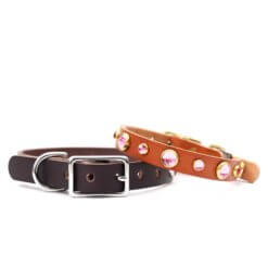 pink studded leather dog collar dolly