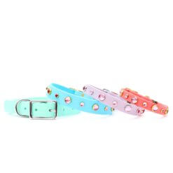 dolly waterproof studded waterproof pink dog collar