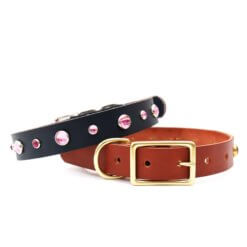 pink studded leather dog collar dolly