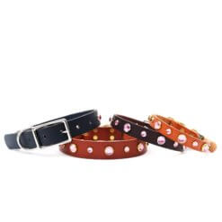 pink studded leather dog collar dolly