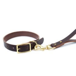 traffic leash and collar leather