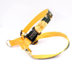 engraved dog harness dandelion