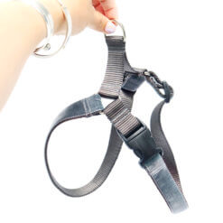 grey vevlet dog harness