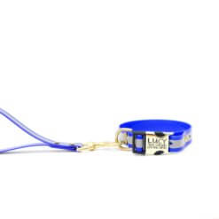 reflective traffic lead and collar 2