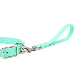 traffic leash w collar 1
