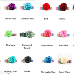all hydrangea colors chart