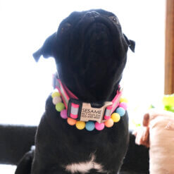 reflective biorthane personalized collar pug square lightweight