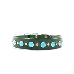1_ leather turquoise studded belt buckle collar