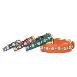 leather turquoise studded belt buckle collar 1