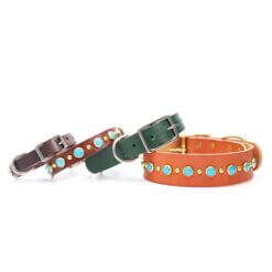 leather turquoise studded belt buckle collar 2