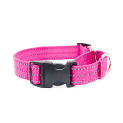 raspberry reflective martingale no engraving