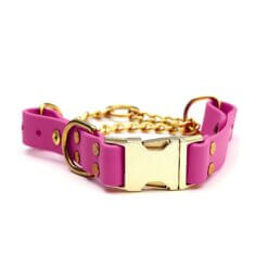 raspberry side release martingale (non-personalized)