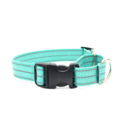 teal martingale nylon no engraving