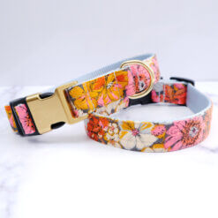 autumn dog collar flannel