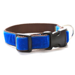 blue velvet dog collar