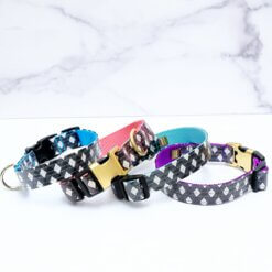 North Gingham Laminated Cotton Collar