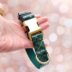 tartan plaid dog collar no engraving