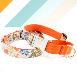 flourish martingale collar