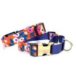Martingale dog collar scarlet orange floral not engraved