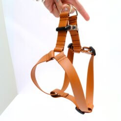 Midweight Harness Step In