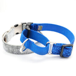 blue glitter martingale dog collar