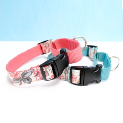 emma laminated feminine martingale dog collar