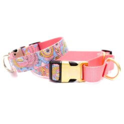 paisley martingale dog collar stevie