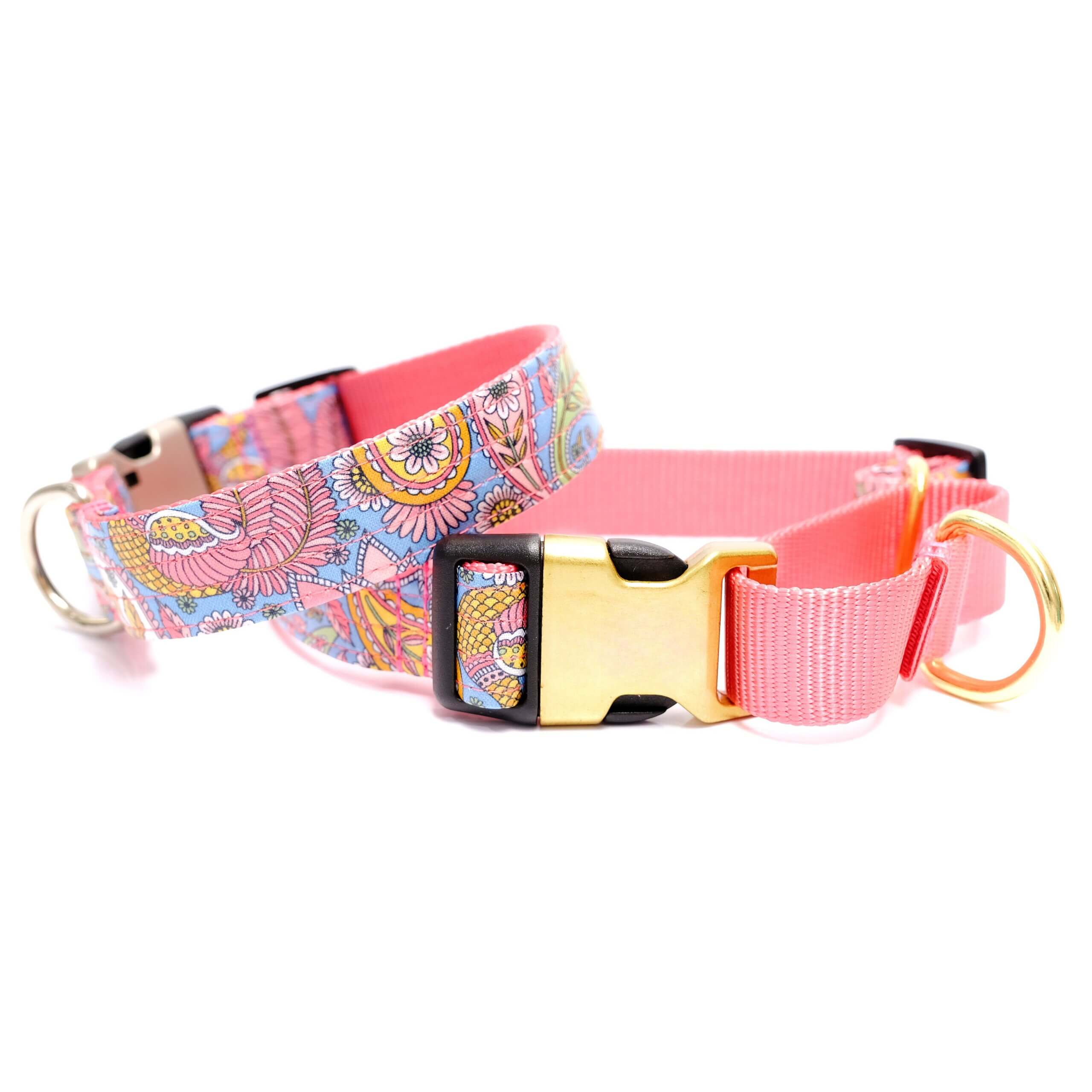 paisley martingale dog collar stevie paisley martingale dog collar stevie
