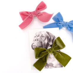 velvet bow on dog collar