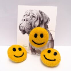 Smiley Face Dog Accessory size