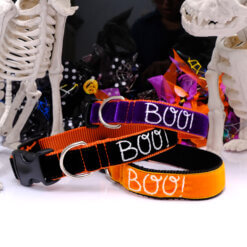 Boo halloween dog collar